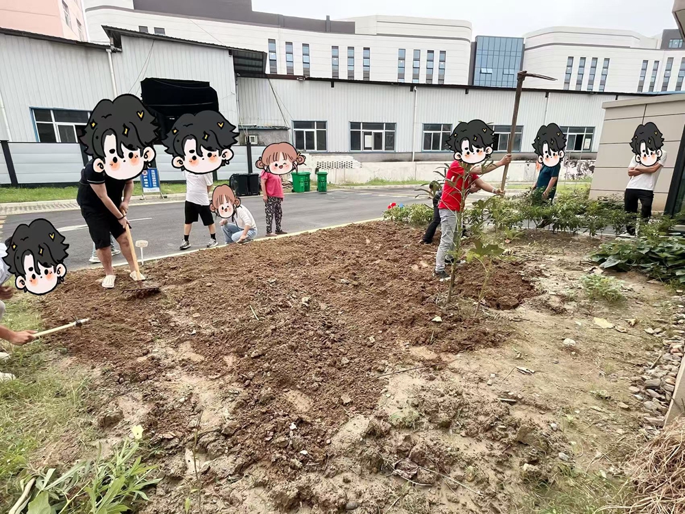 培土见活力，萌芽生希望